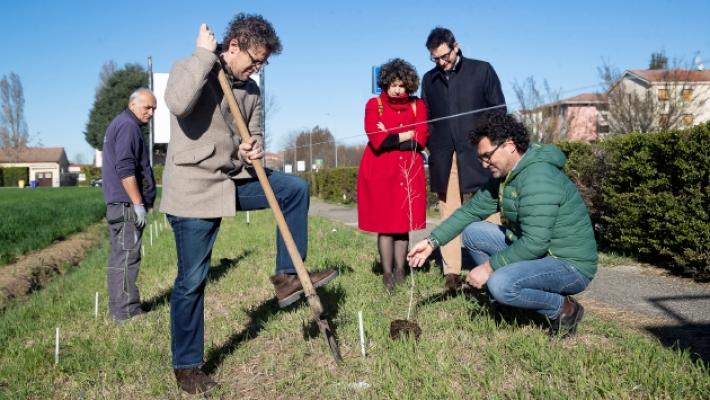 &laquo;Un albero per ogni voto&raquo; Boschini crea una barriera verde a San Pancrazio con 149 piante