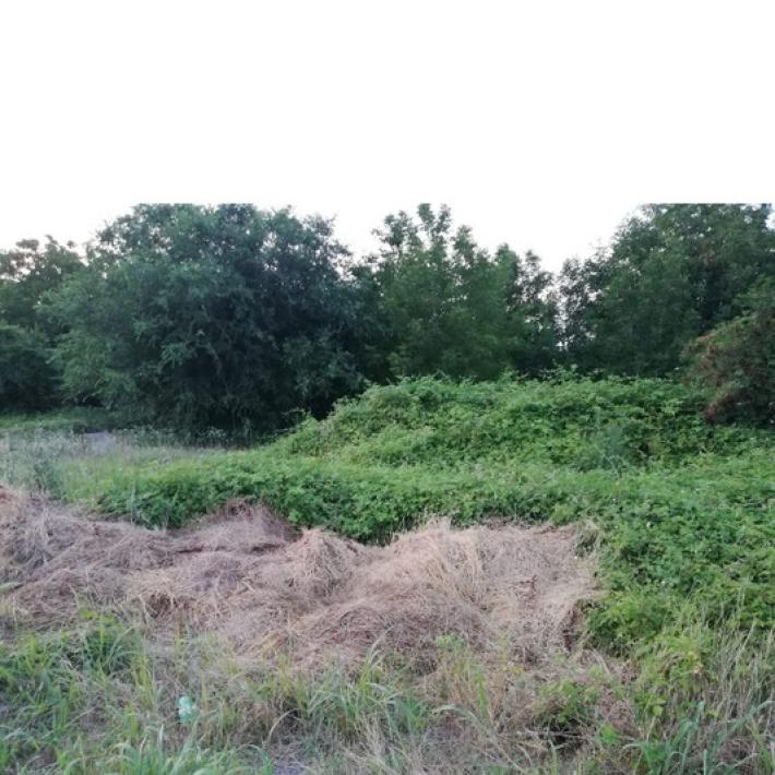 Il Moro? Pi&ugrave; che pianura padana, una giungla