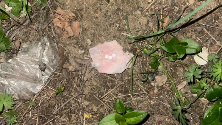 Ancora bocconi avvelenati: tre pastiglie dentro al prosciutto