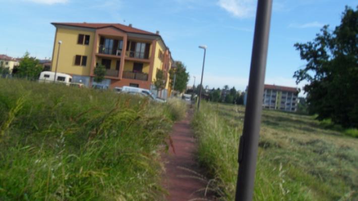 Fidenza, allarme bocconi avvelenati nella zona di Villa Ferro