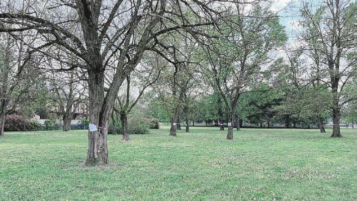 Bocconi avvelenati al Cinghio &laquo;Ma i controlli sono stati fatti?&raquo;