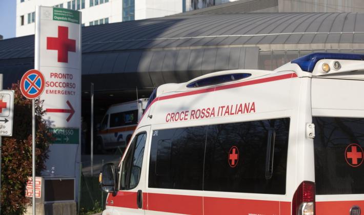 Bimbo azzannato da un cane: gravissimo