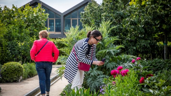 Giardini aperti, oggi nell'Orto Davines e nel Bosco Spaggiari