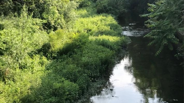 Salso, allarme per i torrenti pieni di vegetazione