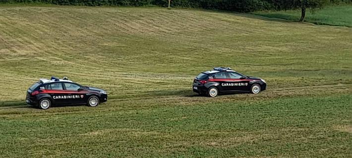 Carabinieri a &ldquo;caccia&rdquo; di un toro infuriato nei prati di Gotra