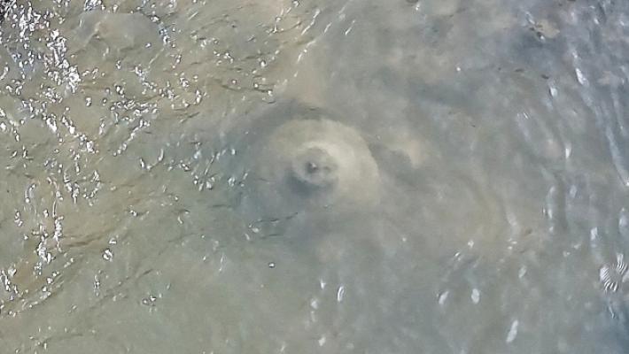 Oggetto misterioso nel Ghiara: arrivano gli artificieri. Ma era la base per un ombrellone