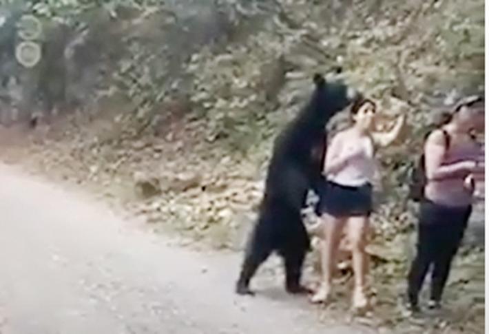 L'orso le si alza alle spalle, lei resta immobile e scatta anche un selfie - Video 