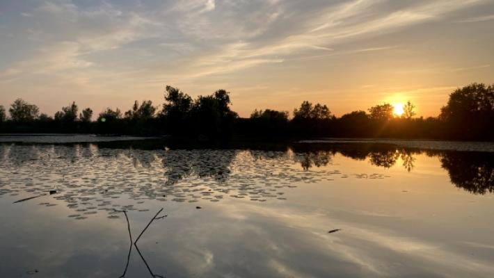 Nuova vita per l'Oasi di Torrile: strutture risistemate e nuovi laboratori