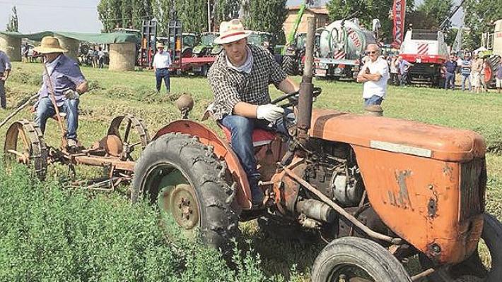 Cornazzano, cinque giorni per una fiera indimenticabile
