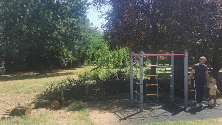 Parco via Guttuso, grosso ramo sfiora i giochi dei bambini