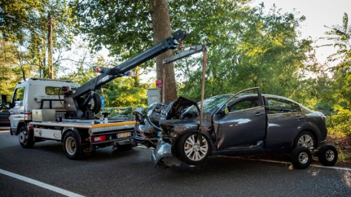 Muore contro una pianta