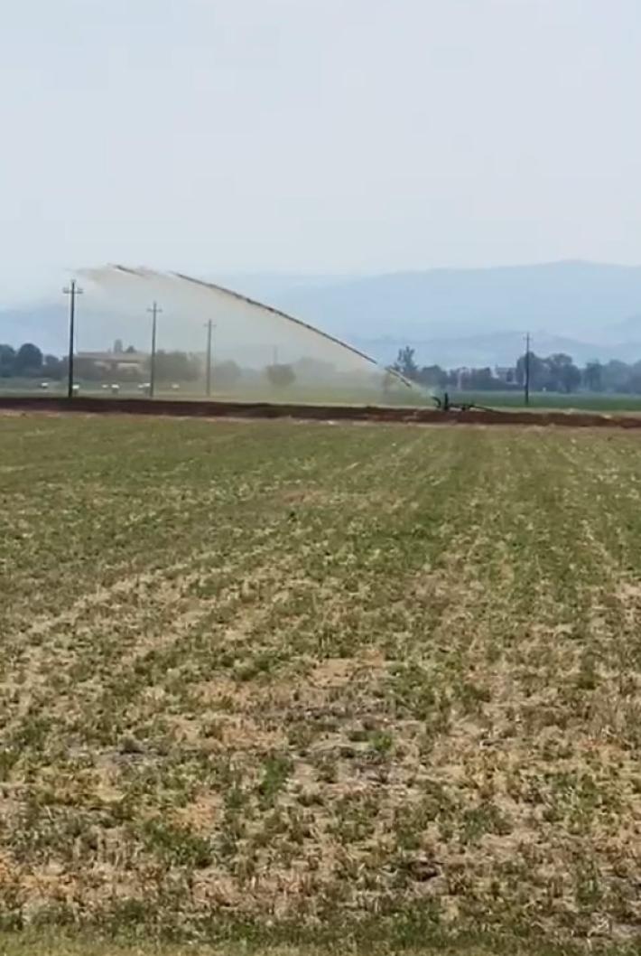 L'irrigatore bagna il cavo dell'alta tensione: ed &egrave; black out