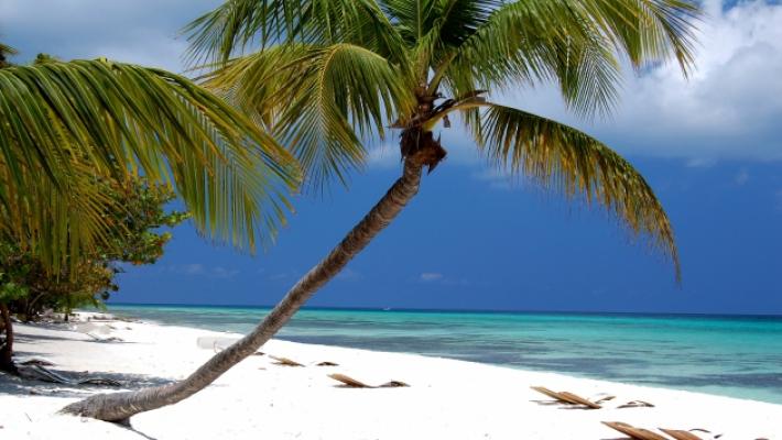 Vacanza gratis? No, era la beffa delle Barbados