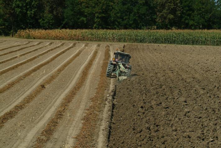 La cultura  del latifondo  e quella della produzione