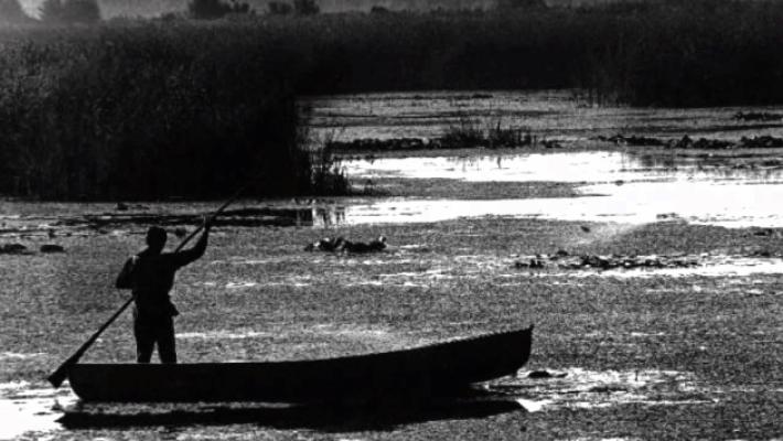 Barcaioli del Po: le vecchie storie dei figli della nebbia e del silenzio