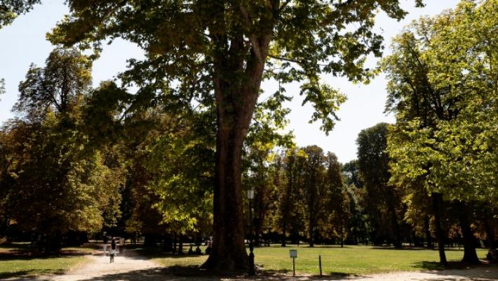 Citt&agrave; pi&ugrave; &laquo;green&raquo;, Parma arretra