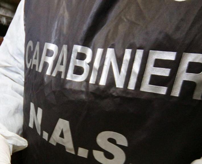 Controlli dei Nas di Parma nelle gelaterie: sequestrati 70 kg di preparati per gelati