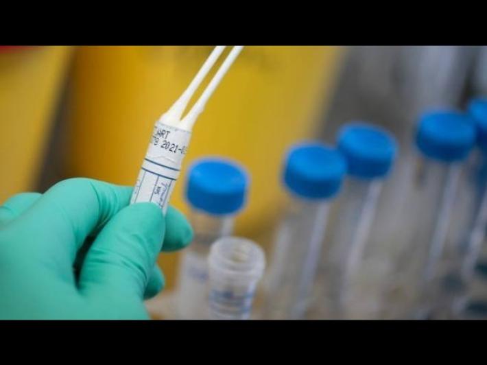 Parma, 5 nuovi positivi (due sintomatici). E in regione i contagiati sono 37 in pi&ugrave;