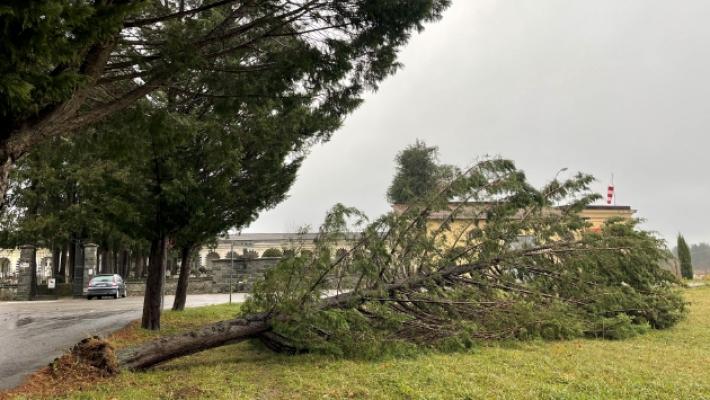 Acqua a catinelle e vento forte: il maltempo si fa sentire