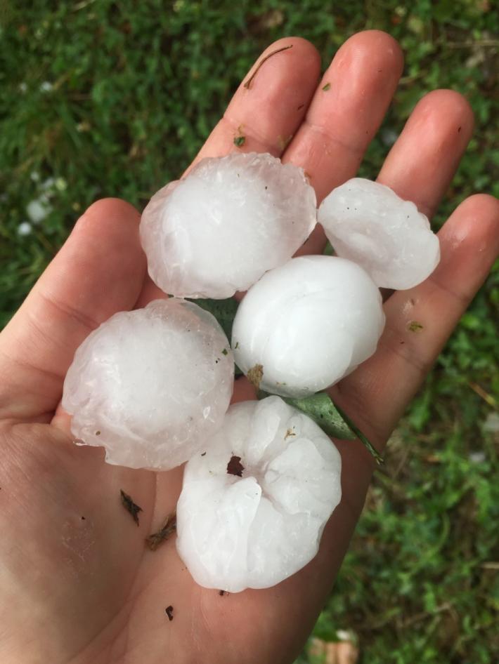 Ravarano, grandinata con chicchi enormi. Molti danni anche a Terenzo