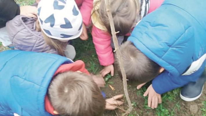 I bambini alla scoperta del mondo degli alberi