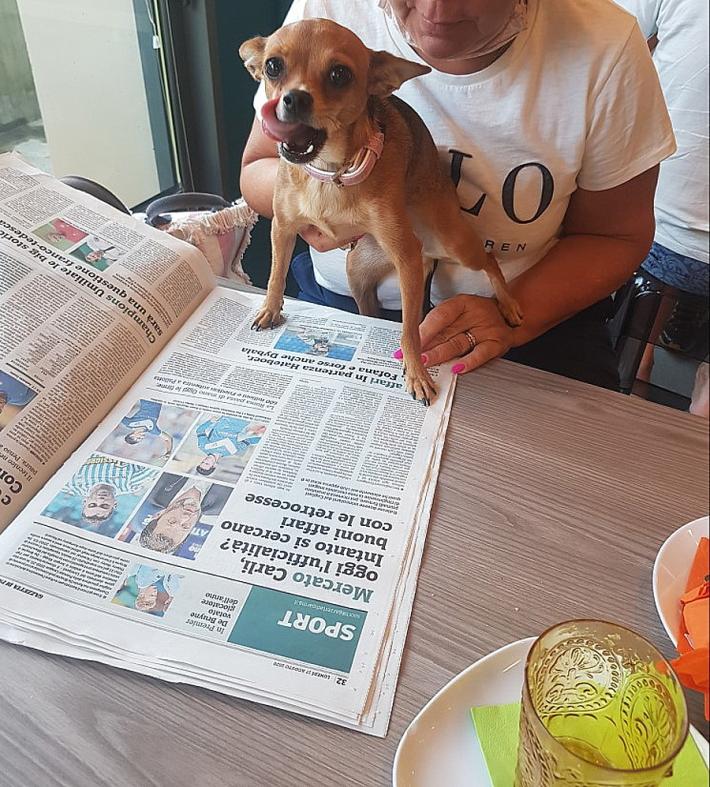 Bibi controlla le notizie del calciomercato