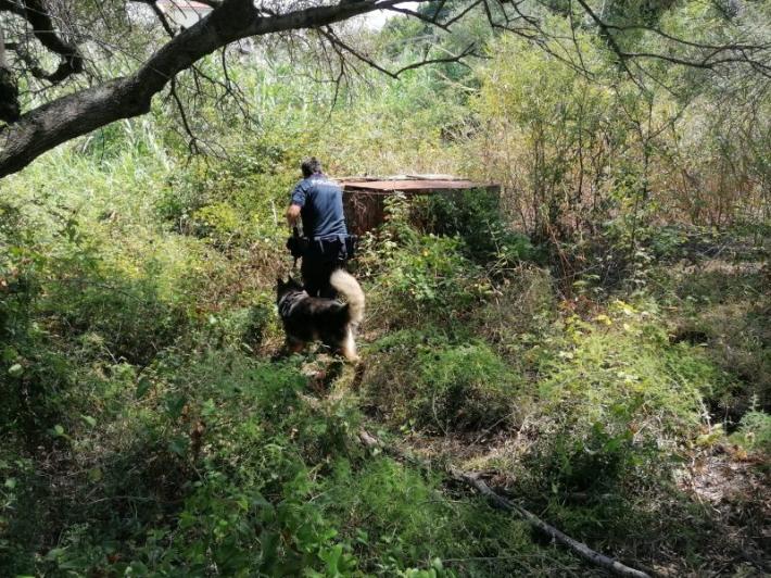 Il pap&agrave; di Gioele: "Dubbi sui metodi adottati per le ricerche"