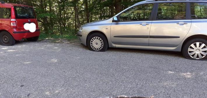 Parco nazionale, i fungaioli si ritrovano (di nuovo) le gomme tagliate. Il presidente: "Stupido e grave"