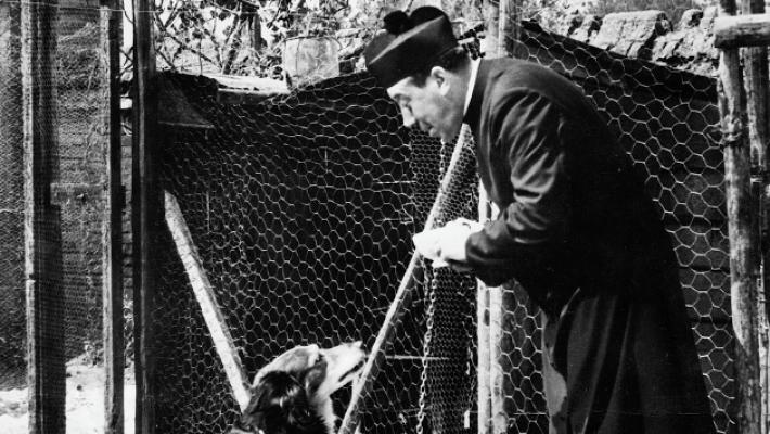 Quel Capodanno di Don Camillo