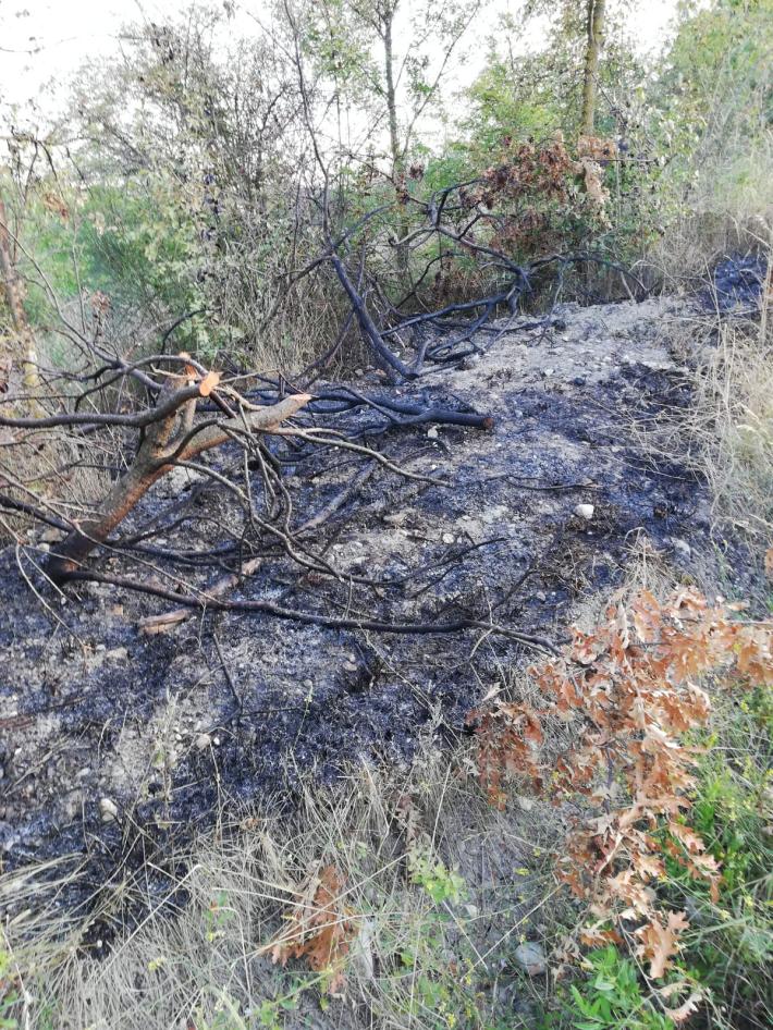 A Maiatico &egrave; tornato il piromane