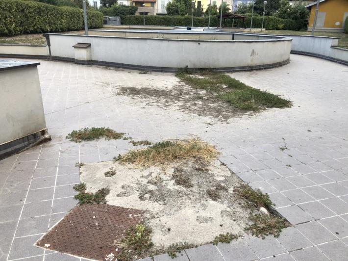 Viaggio fra recinti in condizioni desolanti