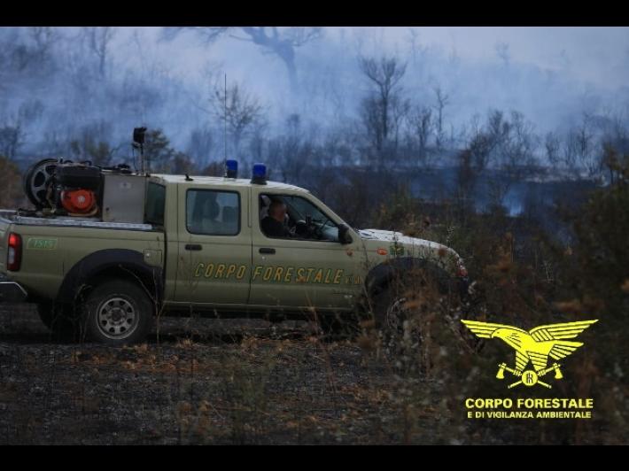 Rogo di Budoni: fiamme spente, parte dei turisti rientra a casa