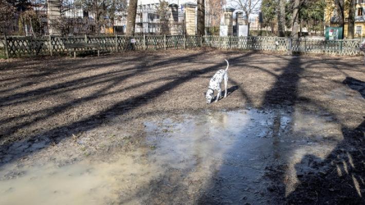 &laquo;Giusto pulire dove sporca Fido ma Parma non &egrave; una citt&agrave; per cani&raquo;