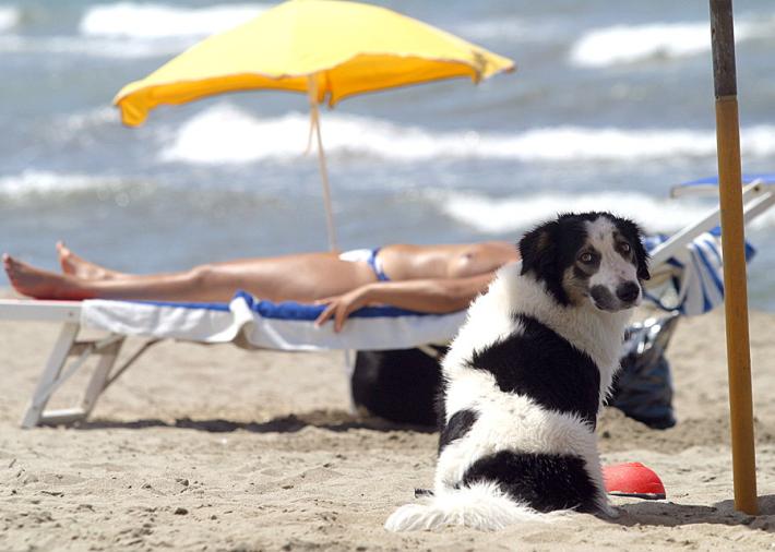 Il Ministro bacchetta i gendarmi anti-topless sulla spiaggia