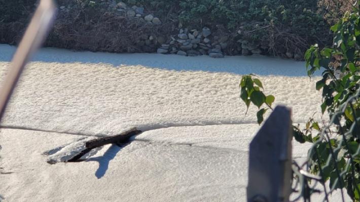 Galasso, un canale senza pace: ancora schiuma e cattivi odori