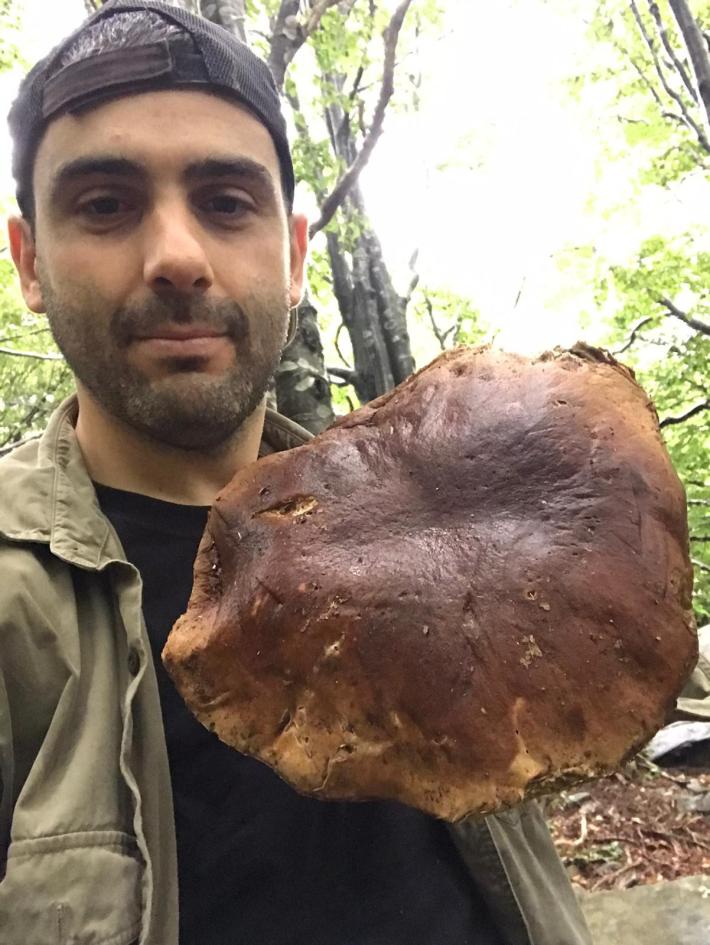 Porcino da record (1,8 chili) nel Parco dei Cento laghi