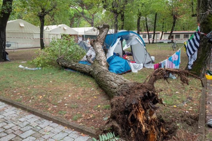Marina di Massa, un albero crolla su una tenda di un campeggio: morte una bambina di 3 anni e la sorella di 14