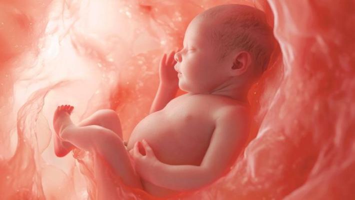 Testati nel pancione