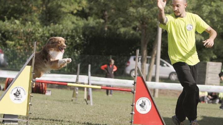 Quegli sport all'aria aperta per due gambe e quattro zampe