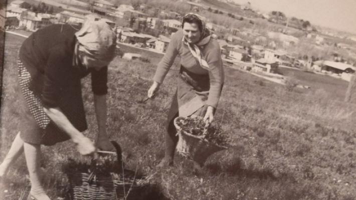 Quando si andava per asprelle e violette