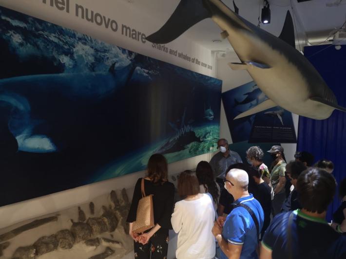 A Salso &egrave; nato il MuMab, il luogo che unisce storia e natura