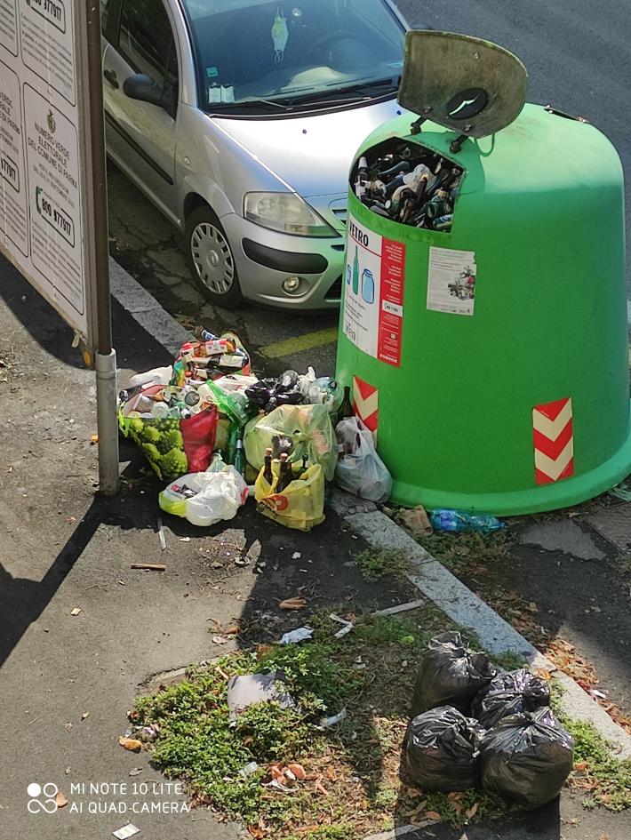 "Viale Piacenza, il panorama che ci accoglie da giorni"