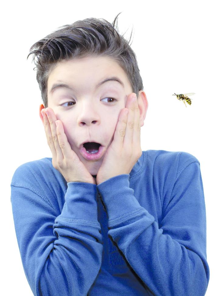 Quando  l'allergia  ti punge  nel vivo   