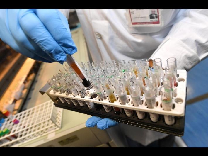 Scuola, la lettera di 250 scienziati: "Urgenti tamponi su vasta scala"