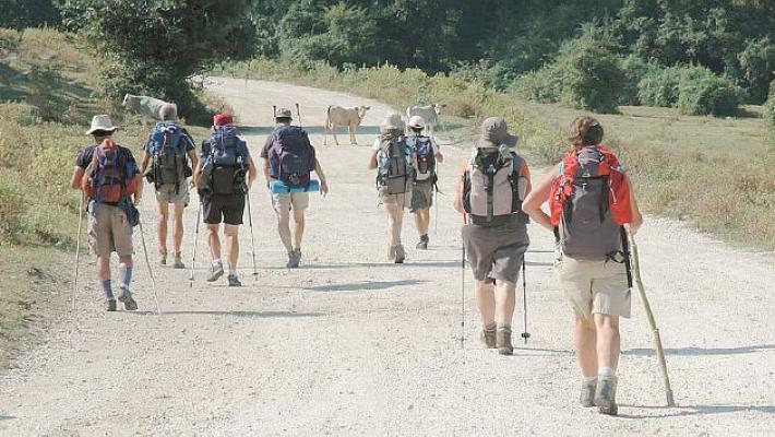 Domenica si cammina da Fidenza a Fornovo