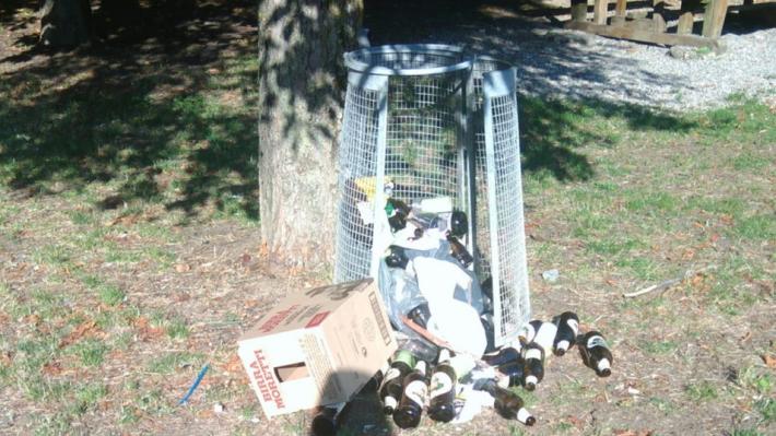 Fidenza, schiamazzi e nuovi vandalismi al Parco Rabaiotti