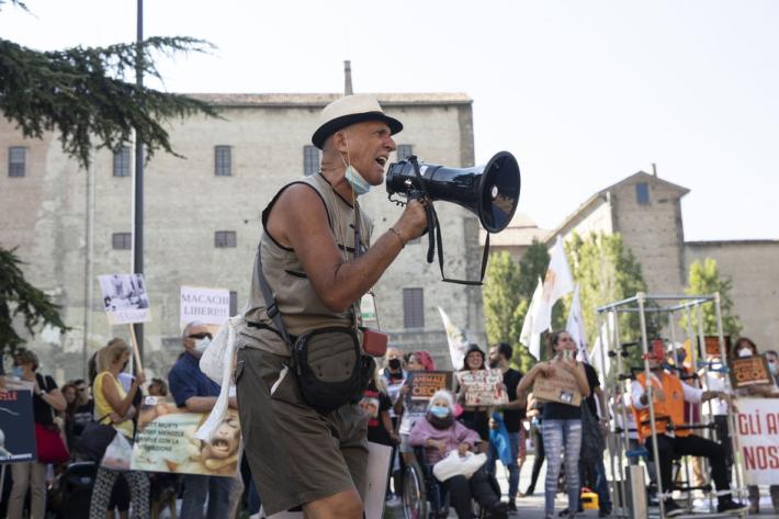 Vivisezione, nuova manifestazione degli animalisti