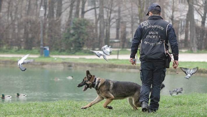 Quanto addestramento per un bravo cane poliziotto