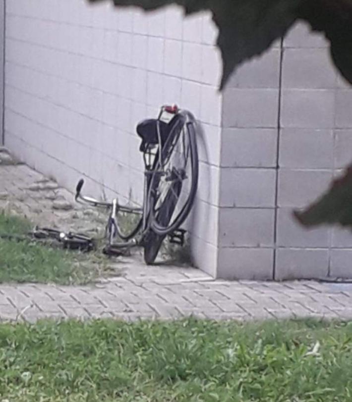 Sorbolo, parchi invasi dai vandali