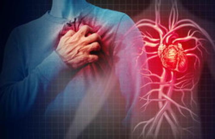 Nanofili di carburo di silicio per curare l&rsquo;infarto al cuore: ricerca guidata dall&rsquo;Universit&agrave; di Parma